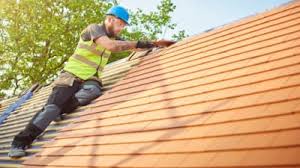 Best Roof Maintenance and Cleaning  in Aragon, GA